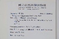 番杏藏品圖，第2張