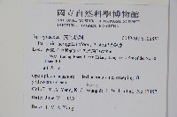 爬森藤藏品圖，第2張