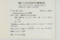 鱧腸藏品圖，第2張