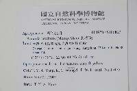 爬森藤藏品圖，第2張