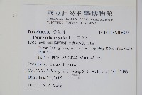 白水木藏品圖，第2張