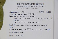 蘭嶼山柑藏品圖，第2張