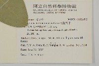 交趾衛矛藏品圖，第2張