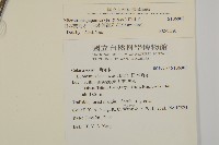 日本賽衛矛、日本假衛矛藏品圖，第2張