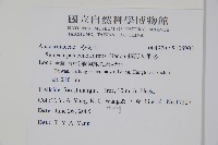 鈍葉大果漆, 小葉大果漆藏品圖，第2張