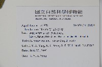 草野氏冬青藏品圖，第2張