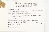 牡蒿藏品圖，第2張