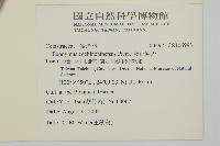 交趾衛矛藏品圖，第2張