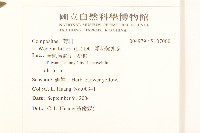 雙花蟛蜞菊藏品圖，第2張