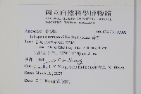 番杏藏品圖，第2張
