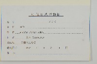 西伯利亞蓍藏品圖，第3張