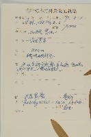 短星菊藏品圖，第2張