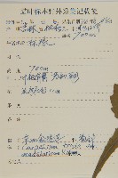 登錄號:S107380藏品圖，第2張