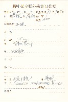 大花千里光藏品圖，第2張