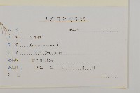 矢車菊藏品圖，第3張