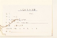 白頂飛蓬藏品圖，第3張