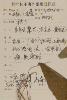 煙管草藏品圖，第2張