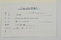 菱葉藜藏品圖，第3張
