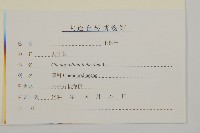 大葉藜藏品圖，第3張