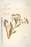 登錄號:S107504藏品圖，第1張