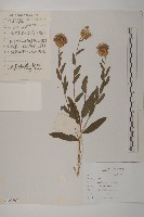 登錄號:S107507藏品圖，第1張