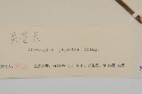 登錄號:S107515藏品圖，第3張