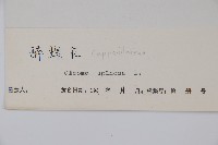 醉蝶花藏品圖，第2張