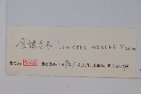 金銀忍冬藏品圖，第2張
