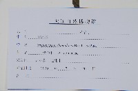 附地菜藏品圖，第2張