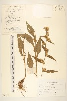 登錄號:S107599藏品圖，第1張