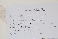 短梗五加藏品圖，第2張