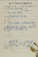 狗筋蔓藏品圖，第2張