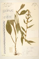 登錄號:S107672藏品圖，第1張