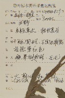 大刺兒菜藏品圖，第2張