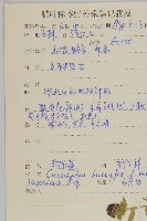 狗筋蔓藏品圖，第2張