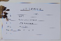 登錄號:S107786藏品圖，第2張