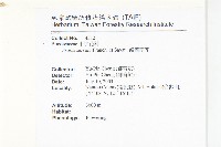 齒葉南芥、齒葉筷子芥藏品圖，第2張