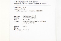 星果佛甲草藏品圖，第2張