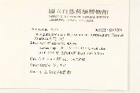 紅毛杜鵑藏品圖，第2張