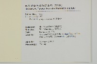 刺果衛矛藏品圖，第2張