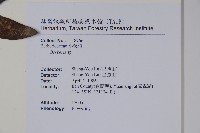 南湖小蘗藏品圖，第2張