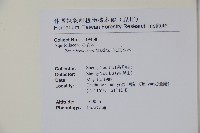 朱紅水木藏品圖，第2張