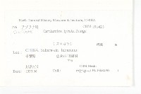 水田碎米薺藏品圖，第2張