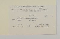 繁縷藏品圖，第2張