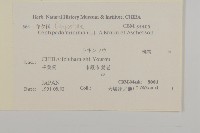 石胡荽、吐金草藏品圖，第2張