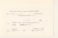 鼠麴草藏品圖，第2張