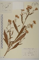 登錄號:S107982藏品圖，第1張