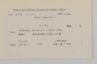 登錄號:S107982藏品圖，第2張