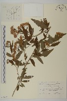 登錄號:S108022藏品圖，第1張