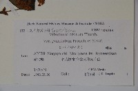 登錄號:S108026藏品圖，第2張